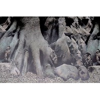 Deco Poster/Background D